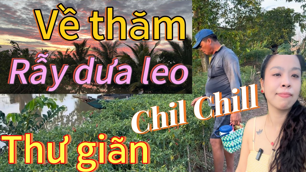Review cuộc sống ở quê đáng mơ ước