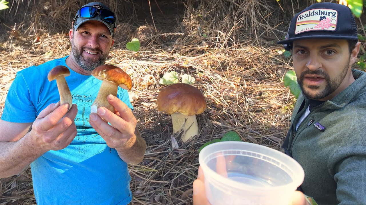 Mushroom Hunting on the Northern California Coast 🍄 | Porcinis for Pizza with Chef Degen 🍕