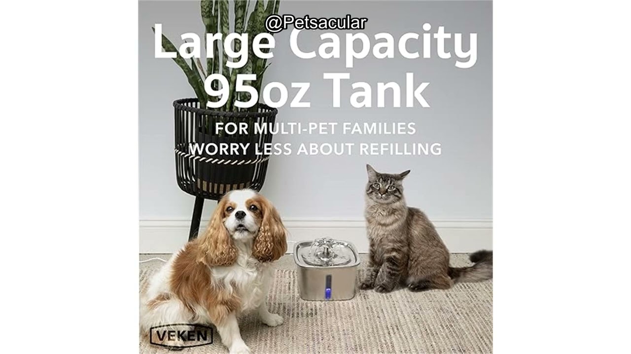Veken Stainless Steel Cat Water Fountain Review: Is It Worth the Investment for Your Pets?