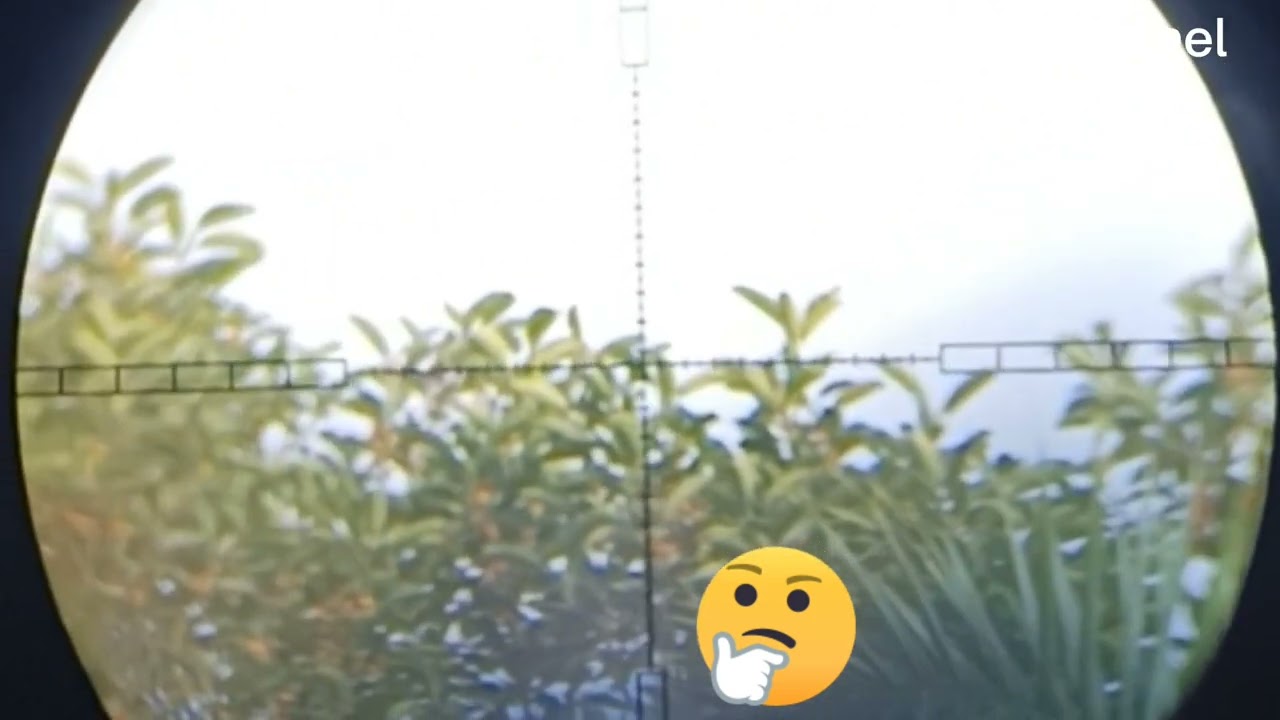 berburu burung terguri@atung channel3796