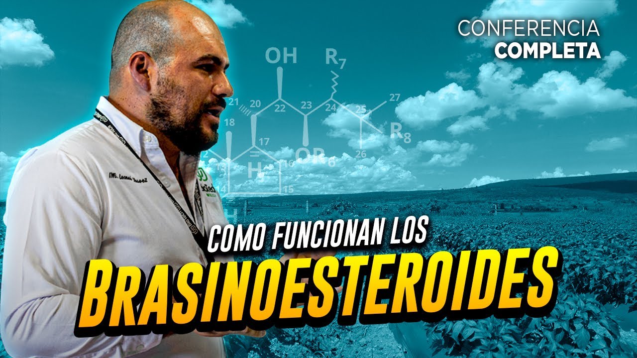 ¿Como funcionan los BRASINOESTEROIDES? - Ing. Leonel Chávez/Biotech México (Conferencia Completa)