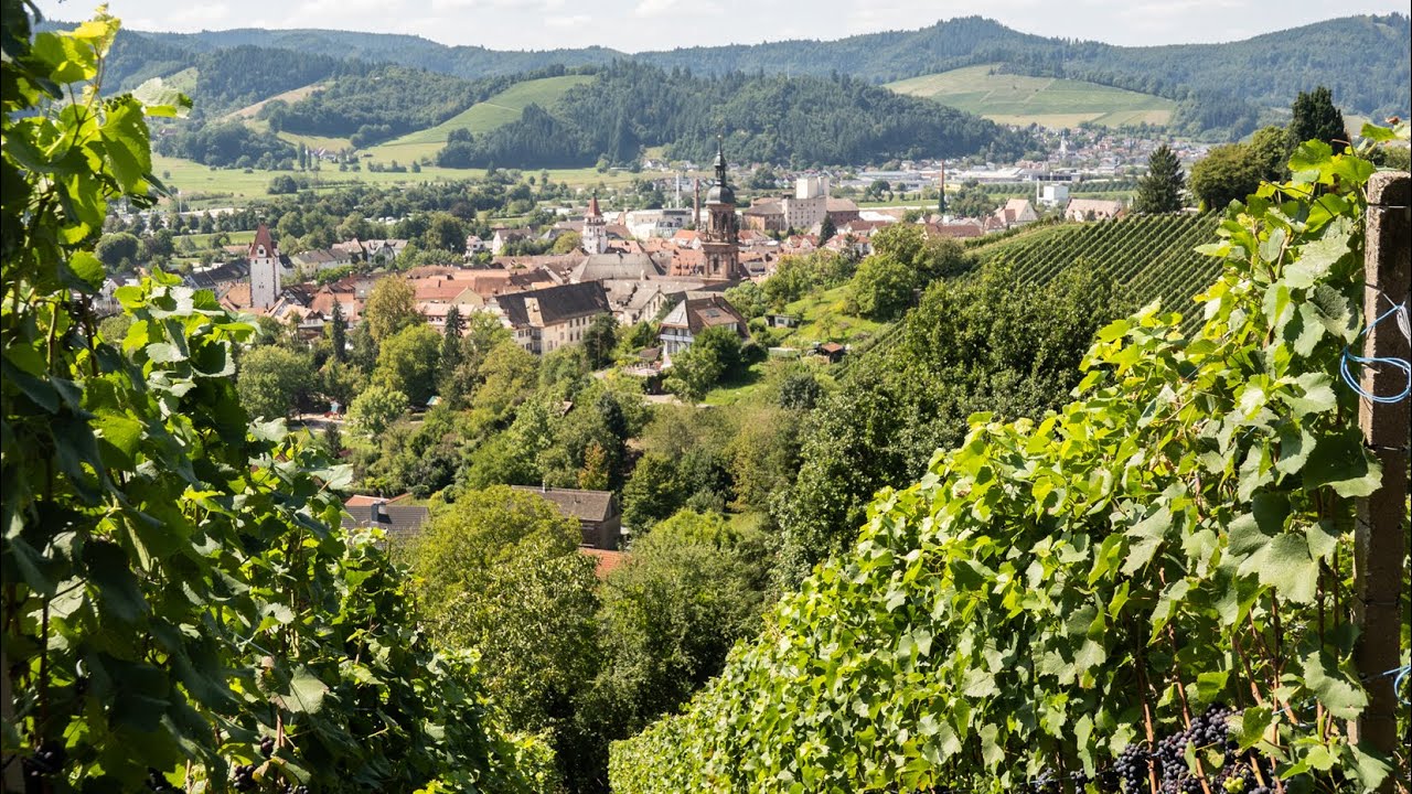 Gengenbach - Tongerse Wandelvrienden 2025