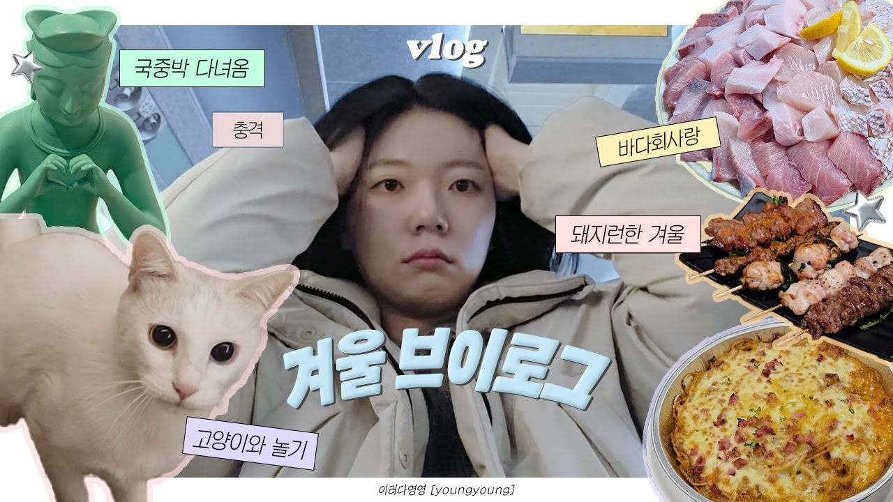 까칠한 고양이와 함께 하는 겨울 일상 모음집, 바다회사랑 웨이팅, 국중박 다녀옴, 돼지런한 겨울 브이로그