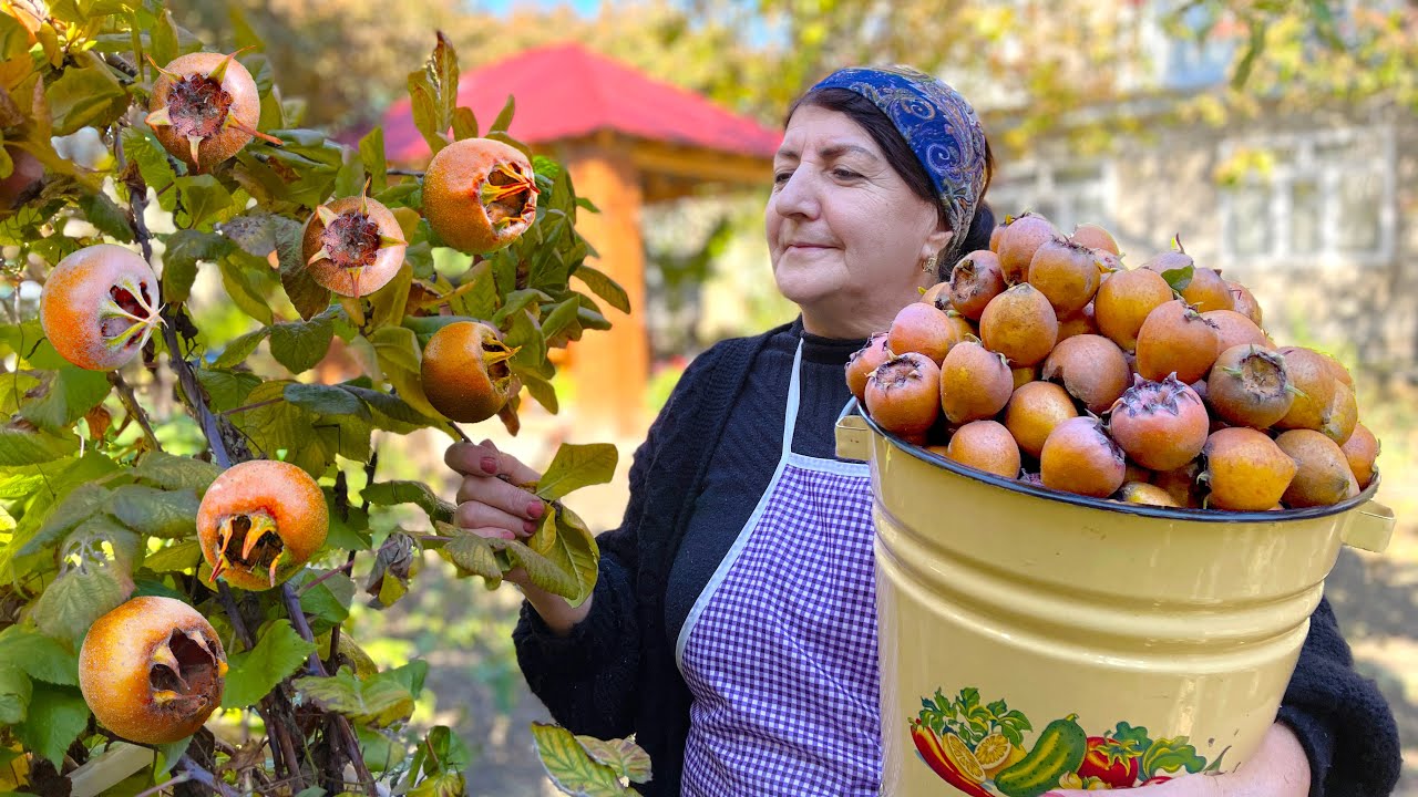 Бабушка собрала свежую мушмулу и сделала соленья на зиму. Хранить в течение 1 года