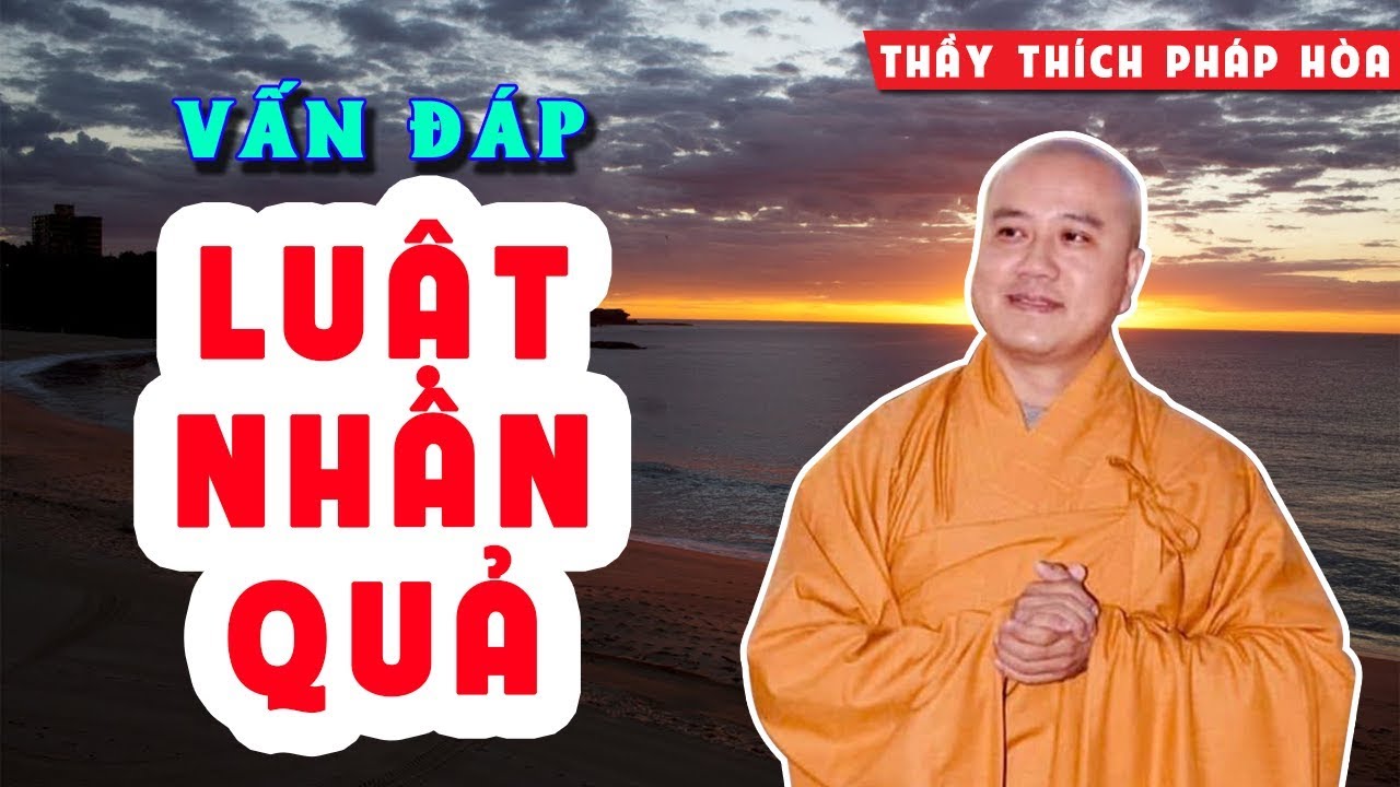 Vấn đáp hay Thầy Thích Pháp Hòa : Nhận biết đâu là NHÂN, đâu là QUẢ - Luật Nhân Quả