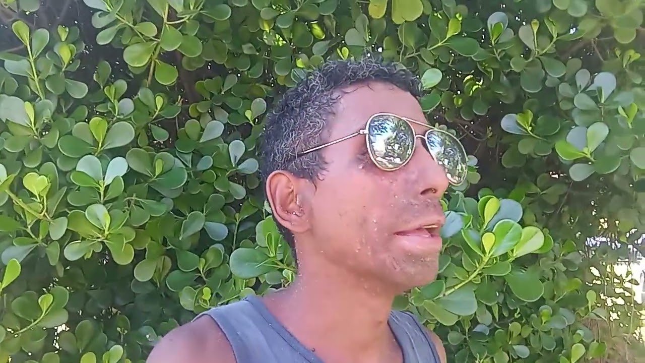 Homem solteiro não tem que assistir BBB!