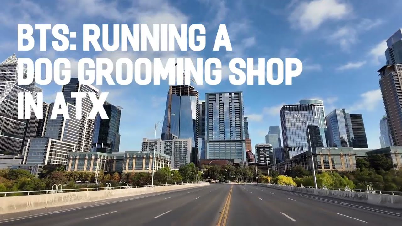 BTS: Running a Dog Grooming Shop In Austin, TX