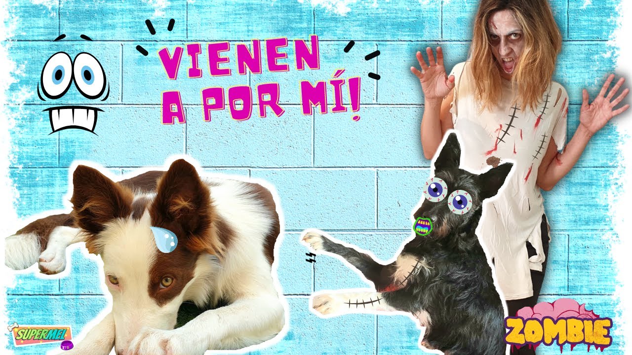 Lana y mi madre SON ZOMBIES y vienen A POR MÍ / Mel / Perros
