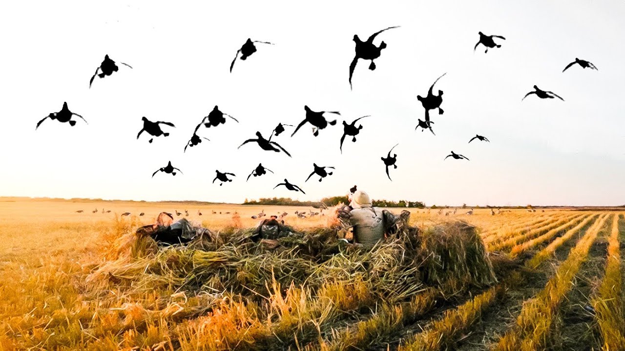FIRST CANADA DOUBLE LIMIT! 32 BIRD 2 MAN HUNT!