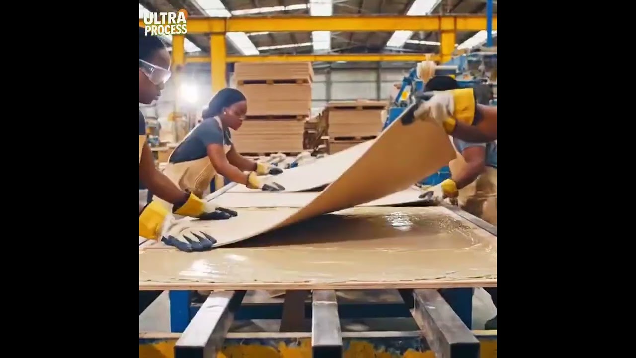 Plywood manufacturing inside a mega wood sawmill