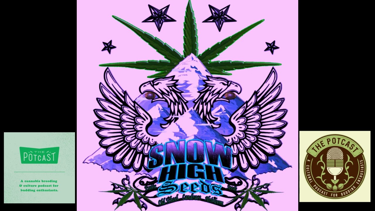Episode 74.5 ft John of Snow High Seeds - The Pot Cast - 19/10/22