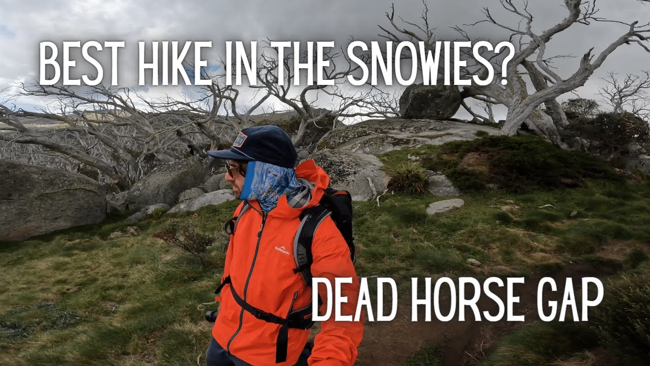 The Gnarled Snow Gums of the Dead Horse Gap | Hiking in the Snowies