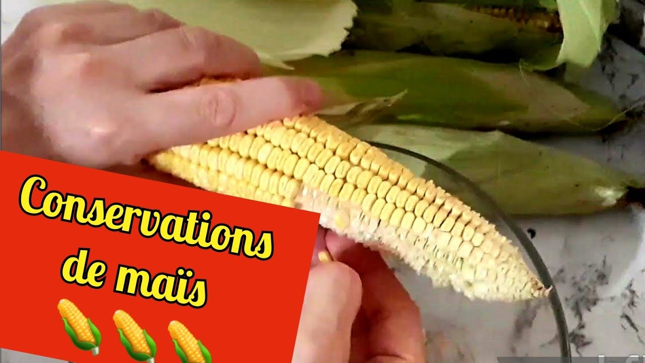 Comment conserver le maïs 🌽 la méthode qui est 100 / 100 réussie