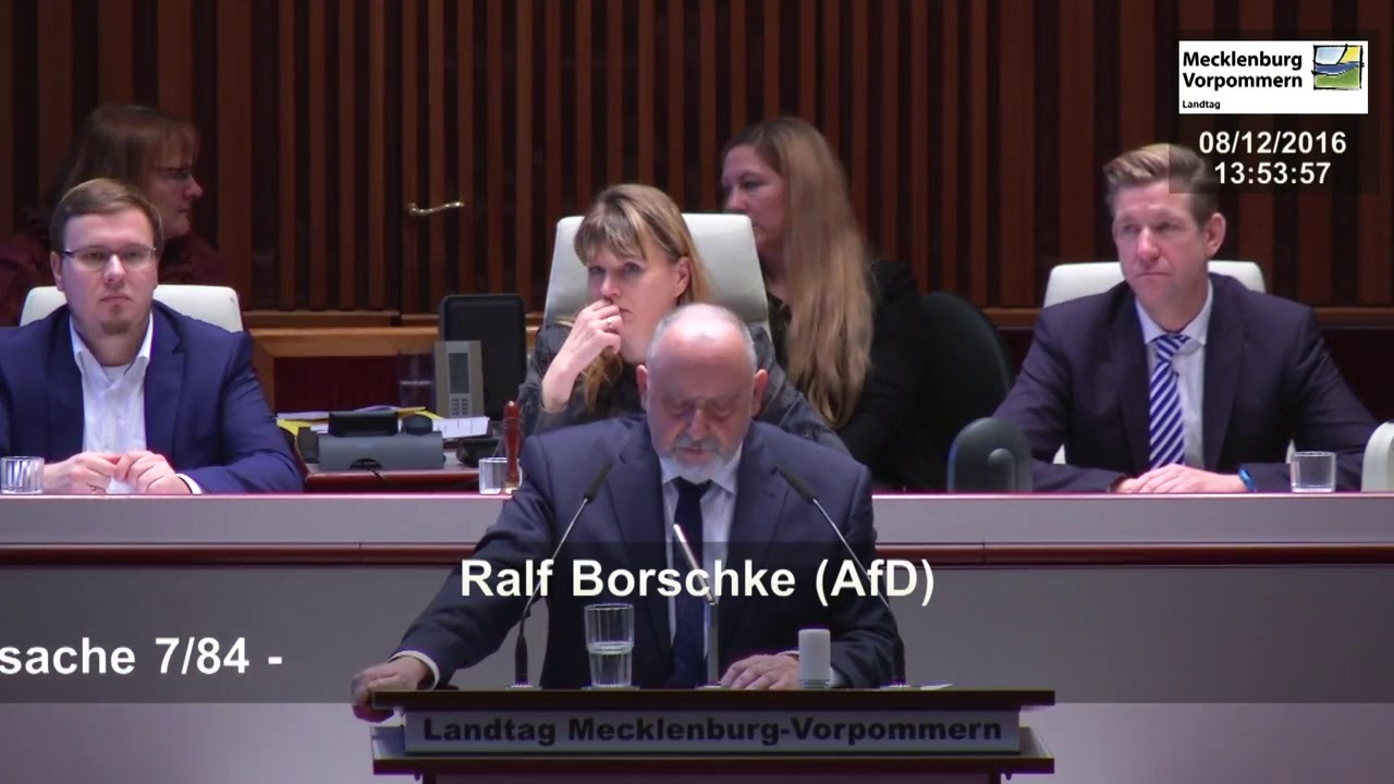 Ralf Borschke AfD Traditionsschiffahrt erhalten!
