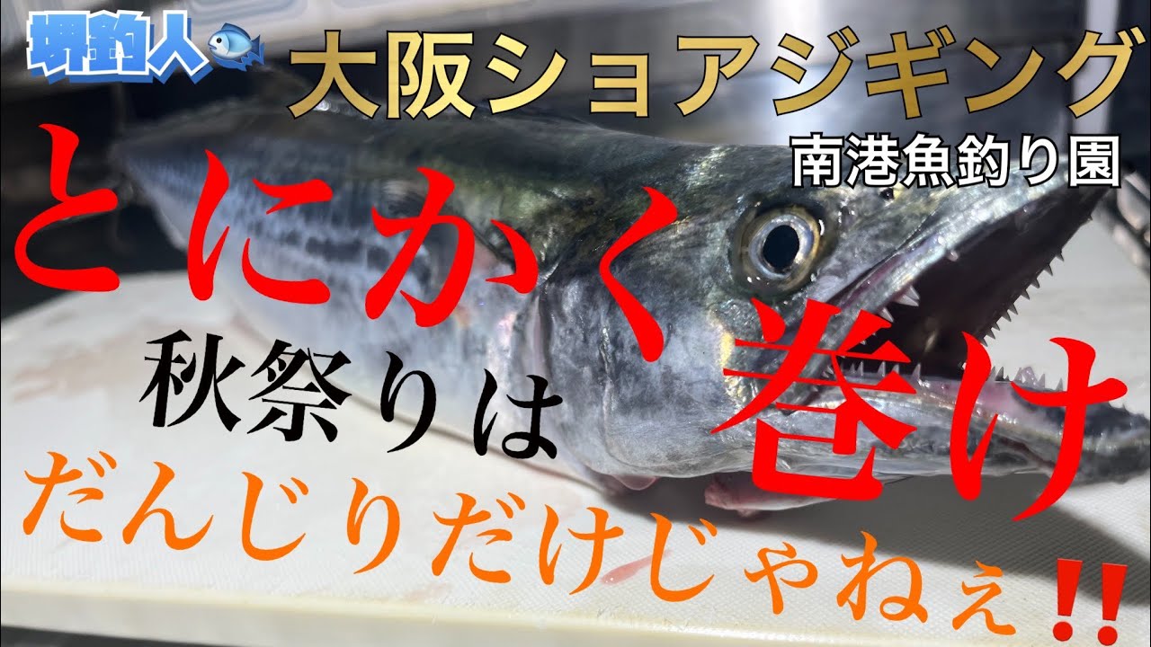 【大阪ショアジギング】サゴシジギングがアツい！！爆釣していると言う噂を聞いて行ってきた！！@南港魚釣り園