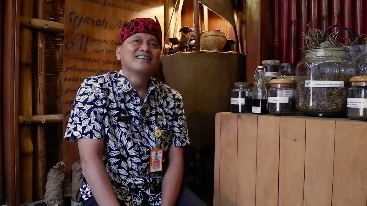 Tembakau, Warisan Nusantara: Dari Ritual Budaya ke Inovasi Vaksin Dengue