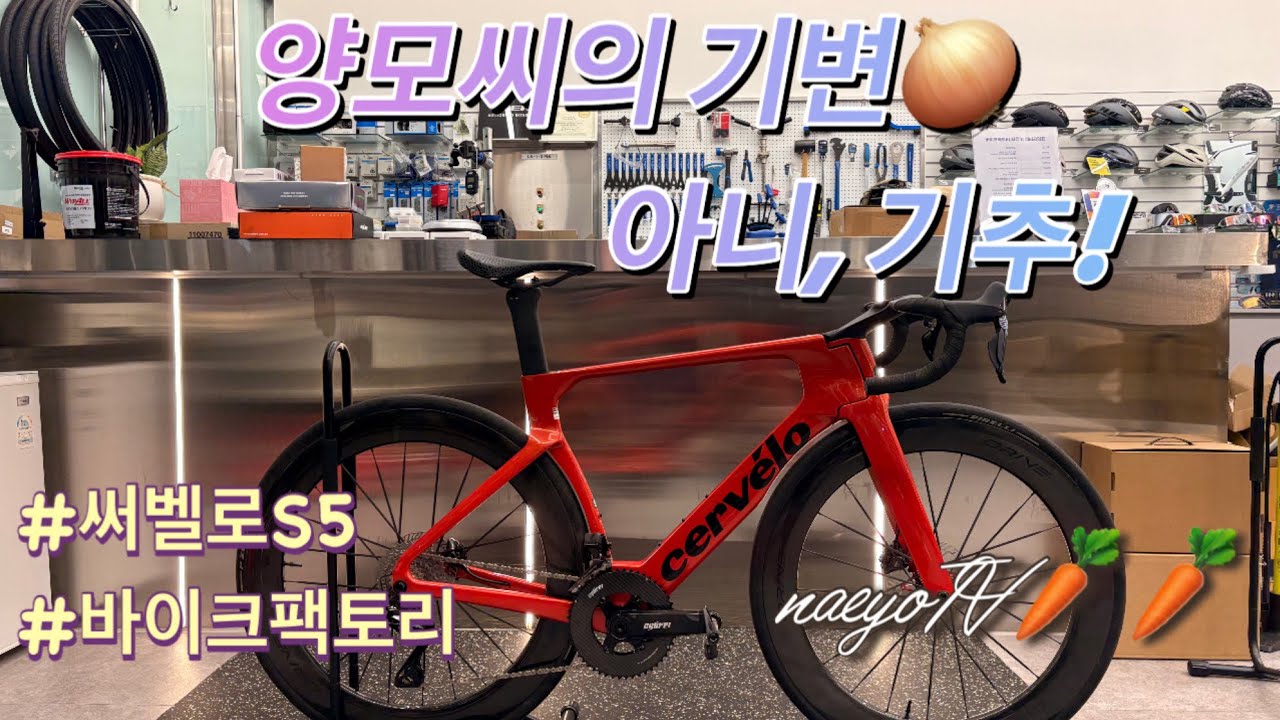 써벨로 S5 carnelian 2026 양모씨의 새 로드자전거를 소개합니다