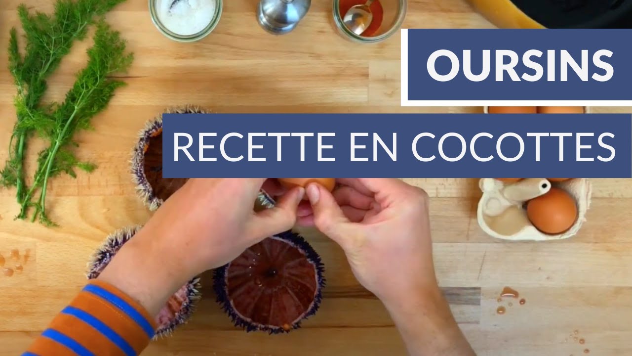 Recette d'oursins en cocotte