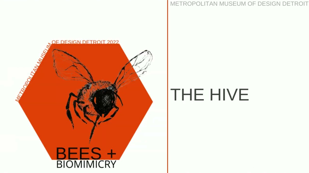 METROPOLITAN MUSEUM OF DESIGN DETROIT BEES +Biomimicry