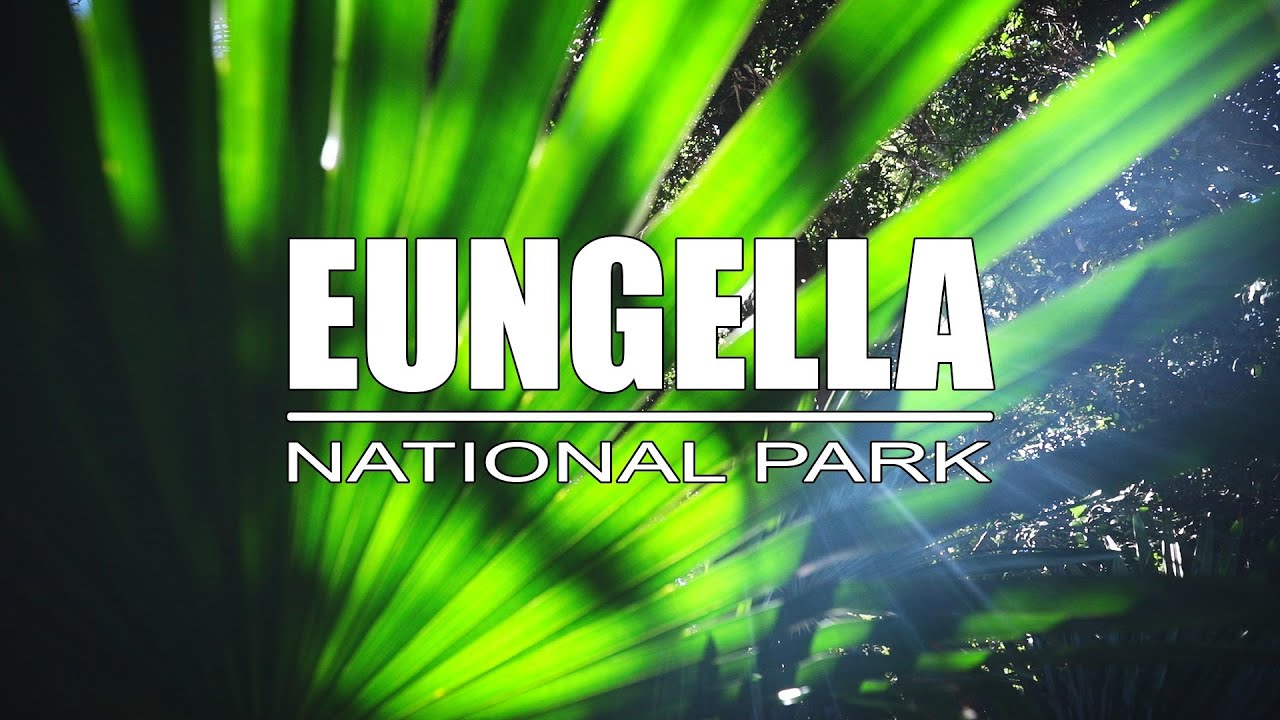 EUNGELLA NATIONAL PARK - DAY TRIP FROM MACKAY - EXPLORING MACKAY REGION