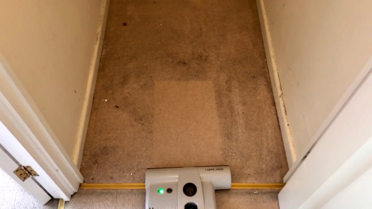 Dirty carpet mega compilation!