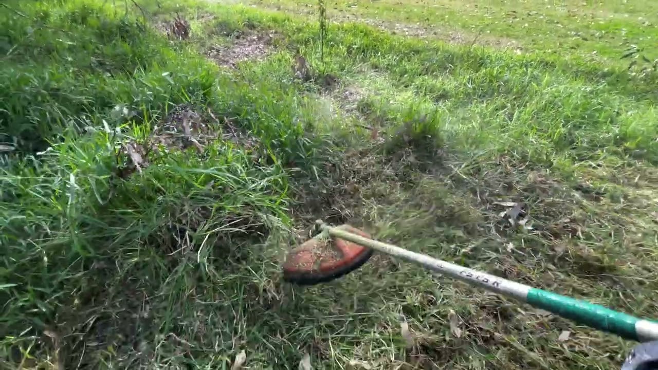 A Whipper Snipping Job With the STIHL FS 85 R petrol Whipper Snipper