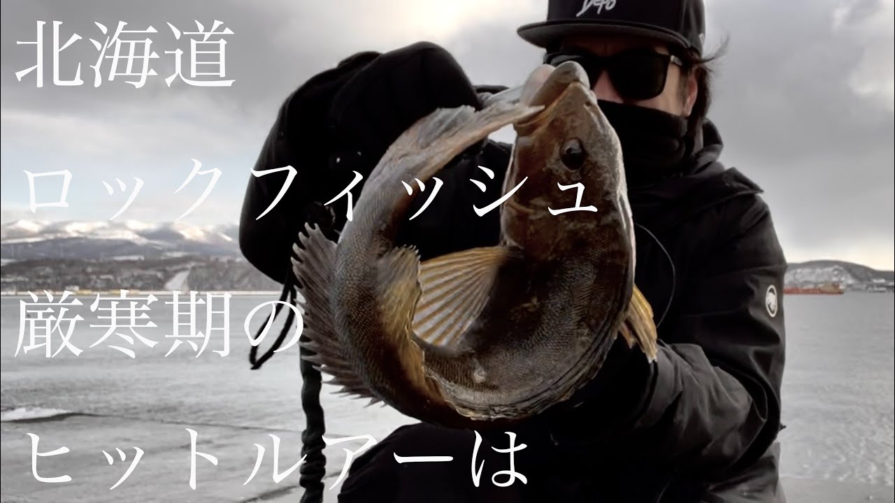 厳寒期のヒットルアーは【室蘭沖堤】