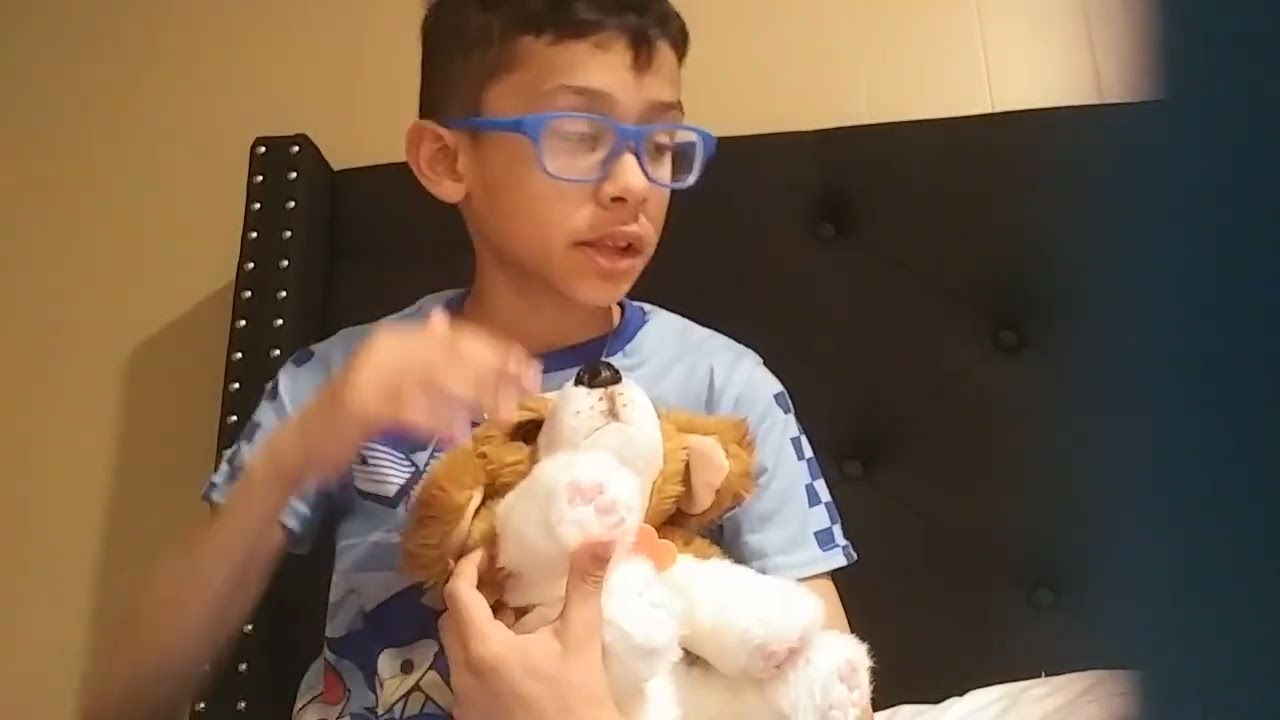 Little live pets #dog#toys #youtube 