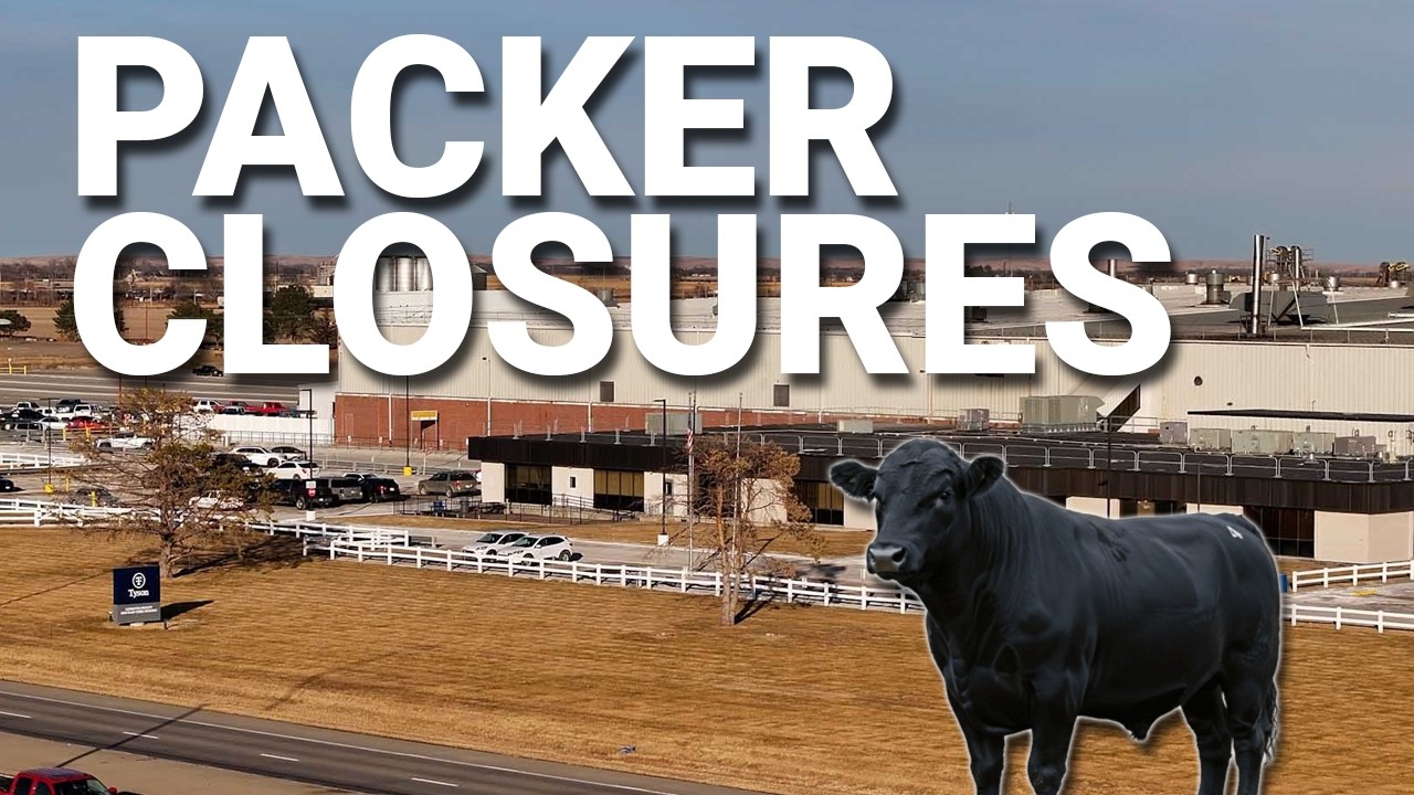 Historic Packer Margins | Cattle Talk February 20th, 2026