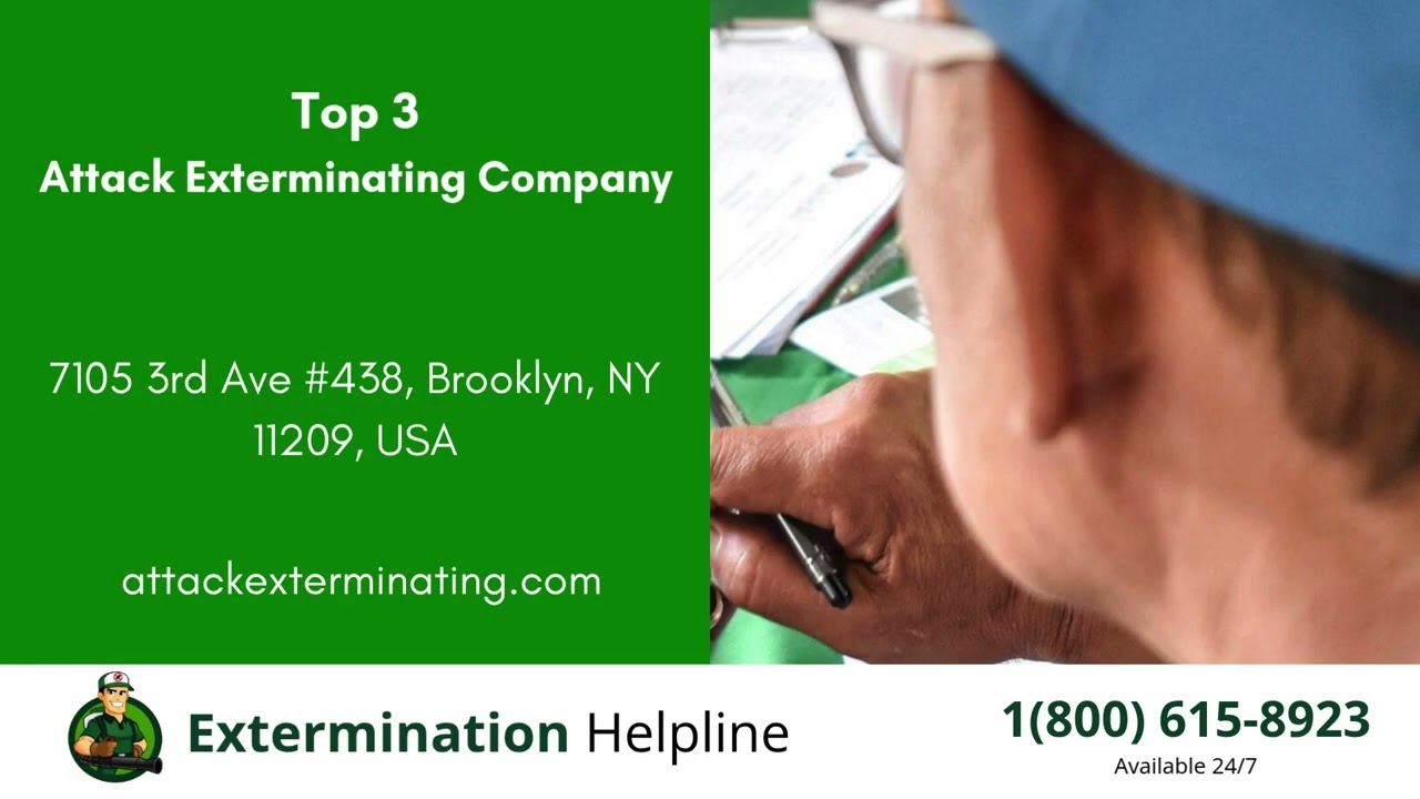 Top 3 Exterminators in Grafton