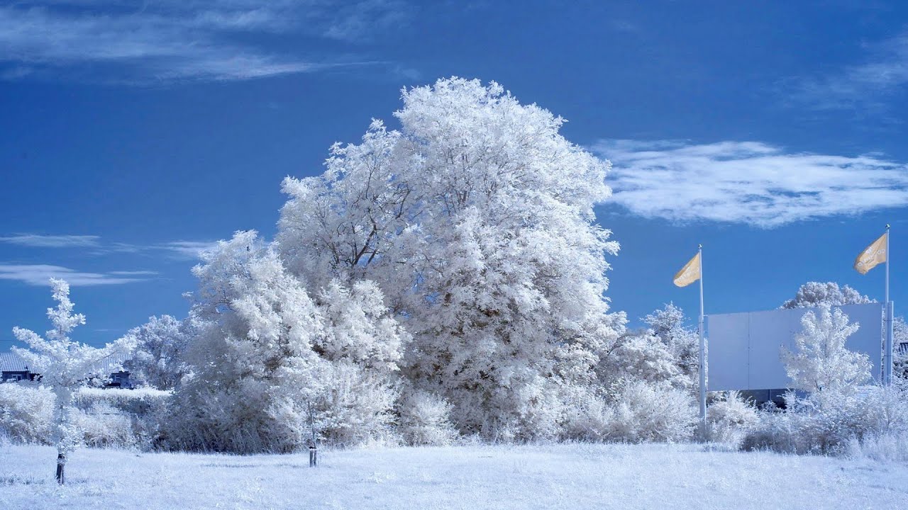 Simple Infrared 720nm,  590nm image processing with FastStone. We also sell IR converted cameras