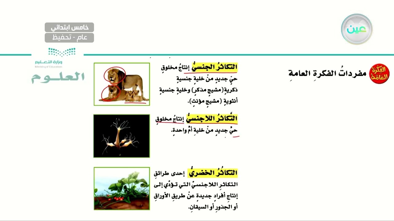 التكاثر  - العلوم - خامس ابتدائي