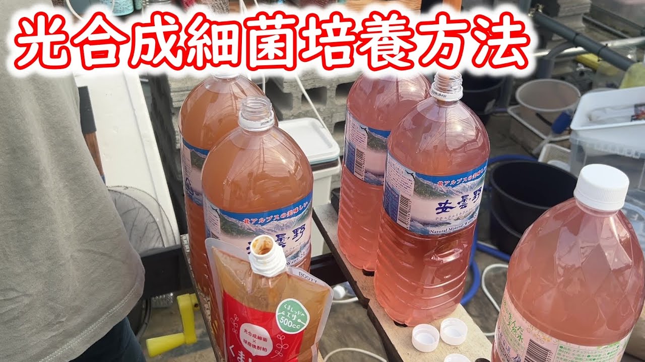 【めだか】魁!!めだか塾　ＰＳＢ、光合成細菌の培養を実際にやりながら説明しています。Ｂ型おやじ