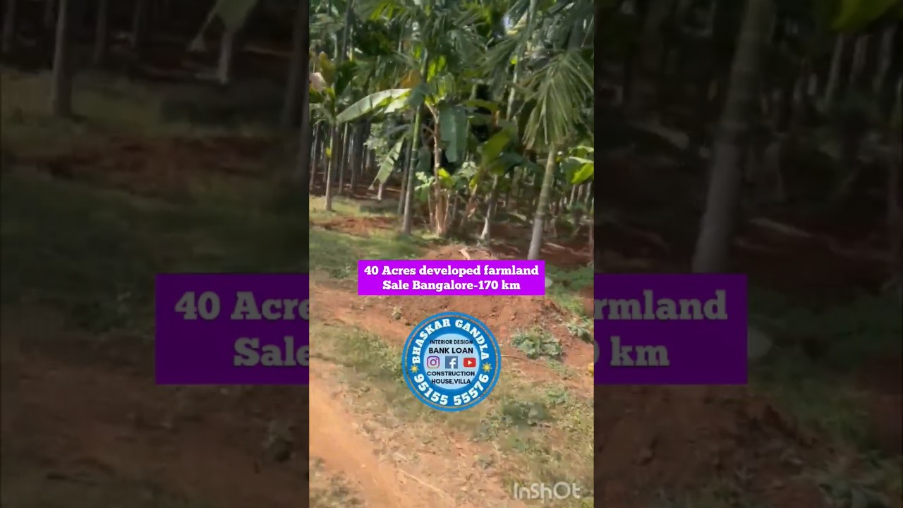 40 Acres Developed Farmland for Sale || near Hiriyur Town Limit! 🌳