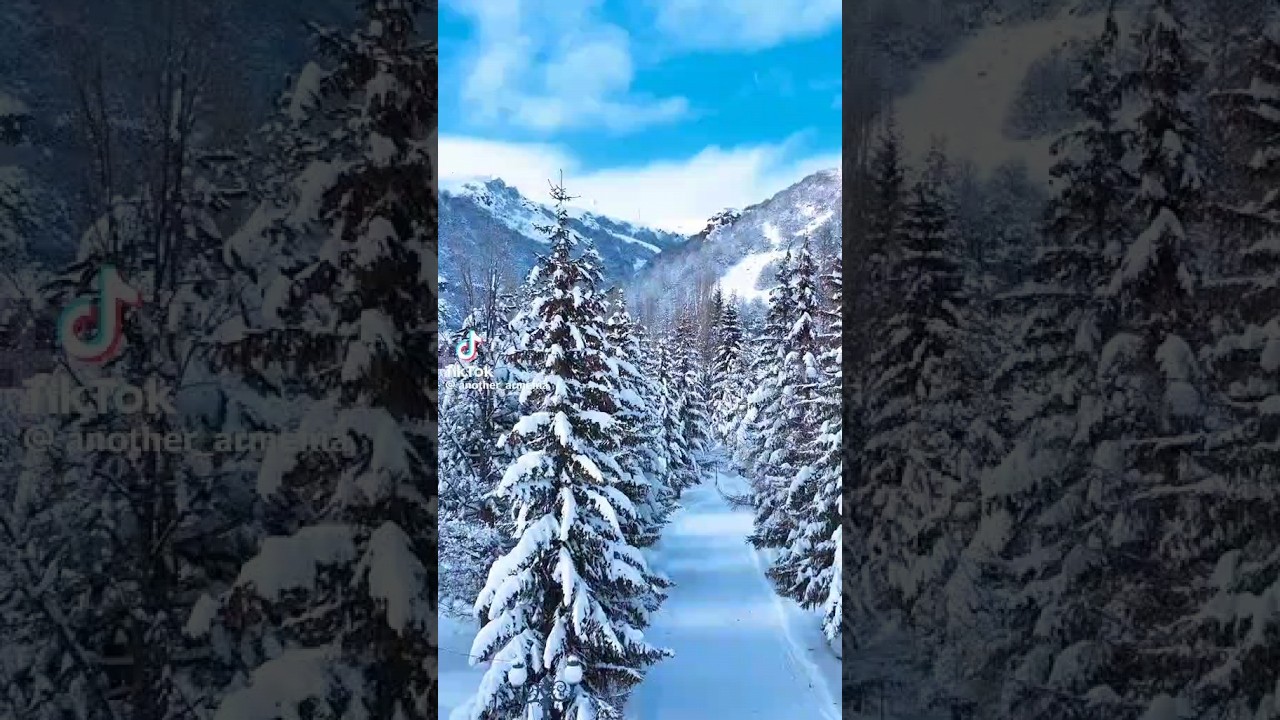 #Jermuk