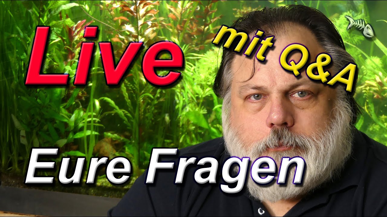 LIVE - mit Q&A #537 - Deine Fragen an den Aquarium-Profi - Stelle dein Aquarium live vor