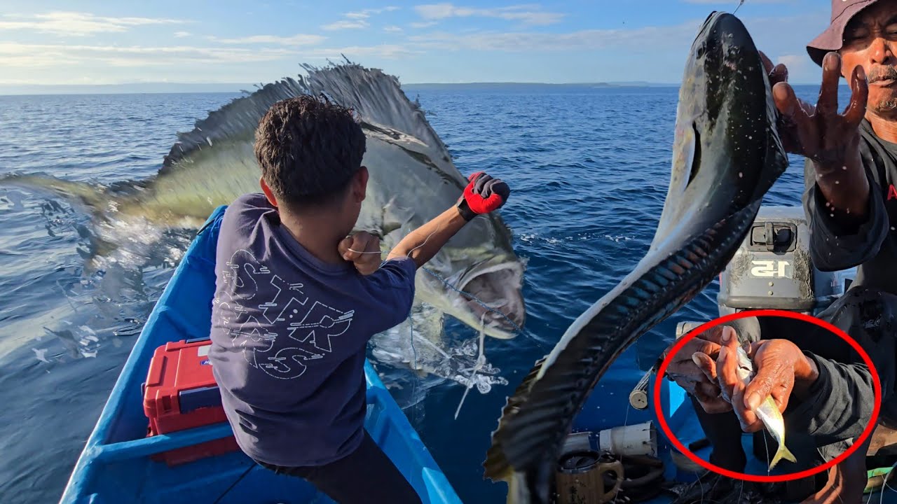 Hari ke 17 SAMBARAN MONSTER BERTUBI-TUBI BIKIN GELENG KEPALA, Camp Fishing