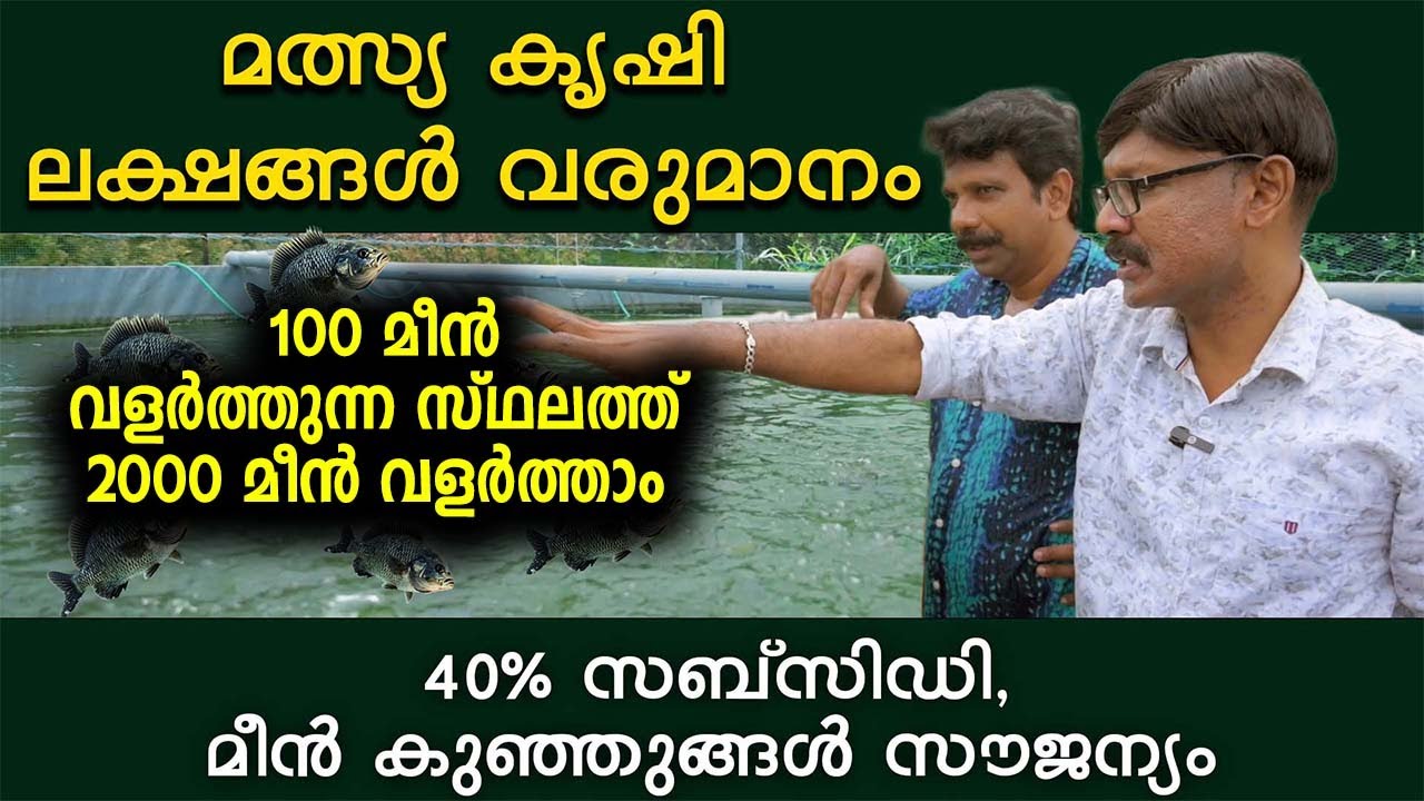മത്സ്യ കൃഷി ലക്ഷങ്ങൾ വരുമാനം 40% സബ്‌സിഡി, മീൻ കുഞ്ഞുങ്ങൾ സൗജന്യം #agrownews