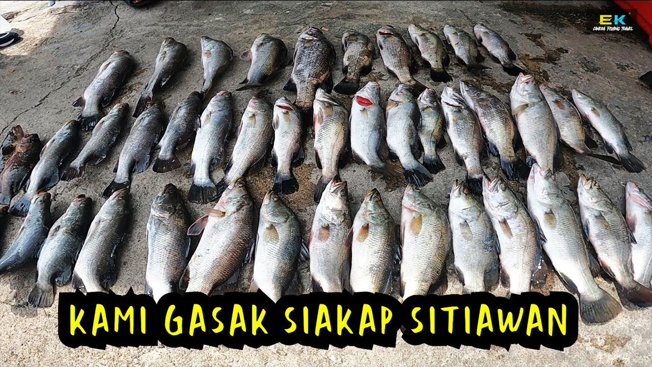 KAMI GASAK SIAKAP SITIAWAN PERAK - Selamat Hari Raya Aidilfitri 2022