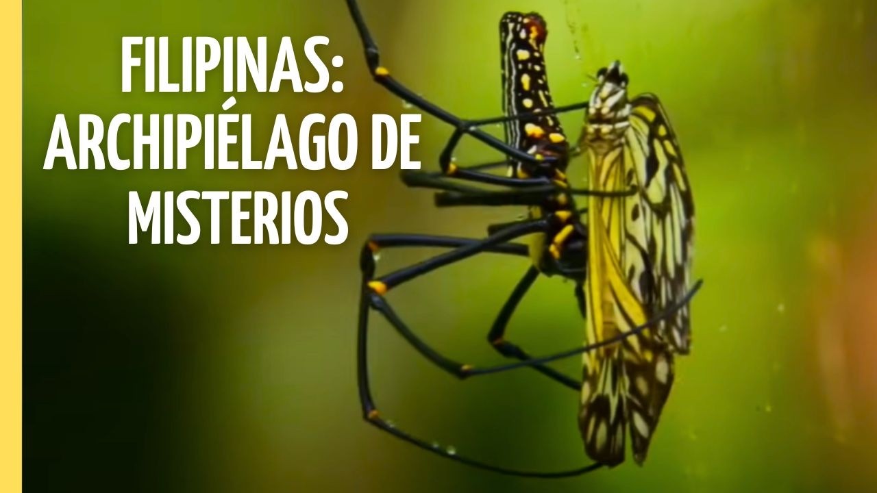 ¡FILIPINAS SALVAJE: 7.000 Islas de Misterios Tropicales! | Episodio Completo