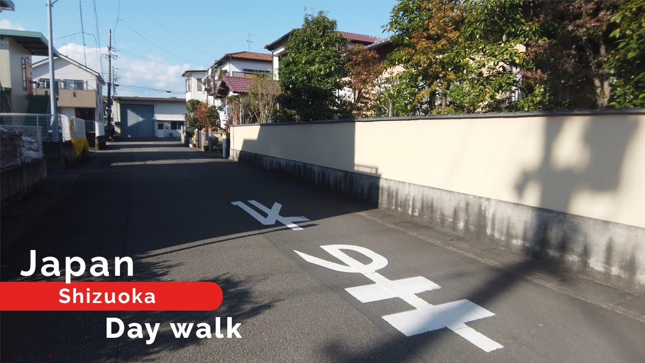 Shizuoka Walking Tour