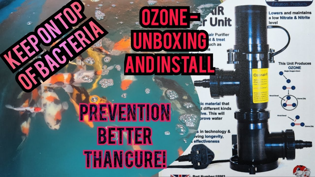 Ozone in koi ponds - an explanation, unboxing and install of Aquasure Ozoneair unit.