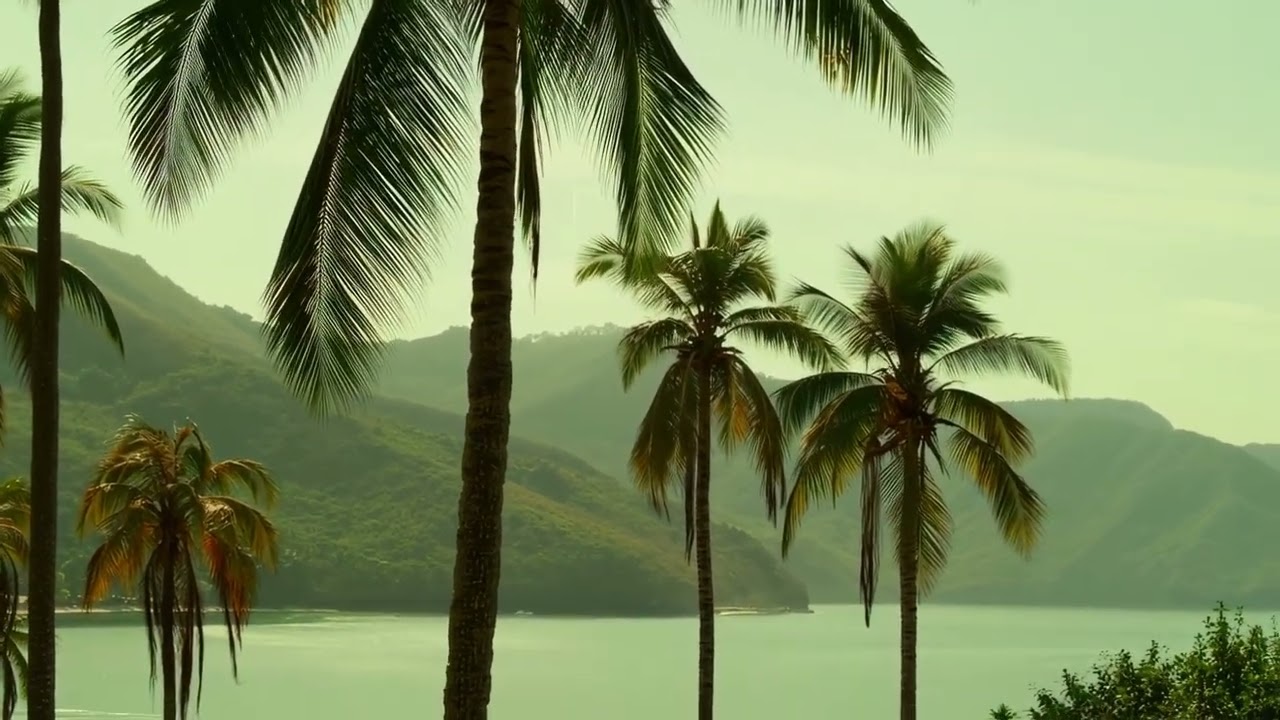 Lo-fi Bossa Nova Beats 🎧 | Study, Relax, Focus & Sleep