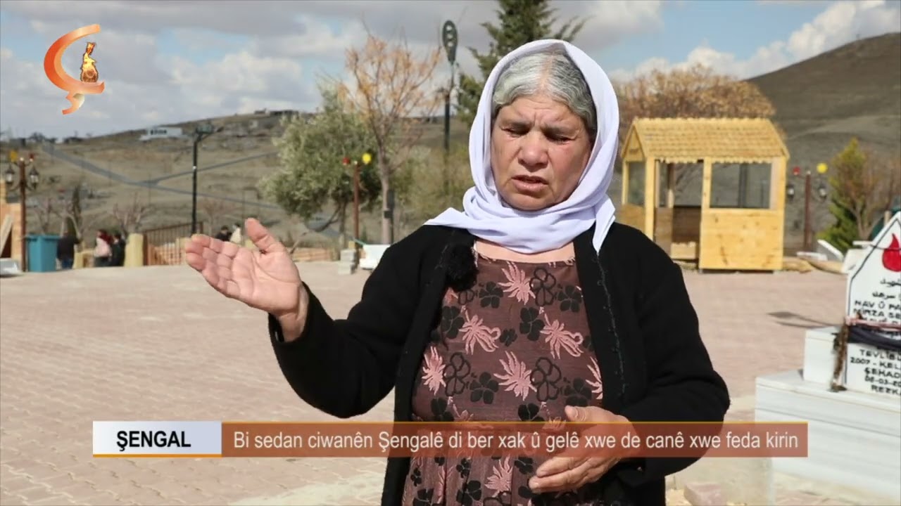 Dosya Taybet |ŞENGAL | Bi sedan ciwanên Şengalê di ber xak û gelê xwe de canê xwe feda kirin
