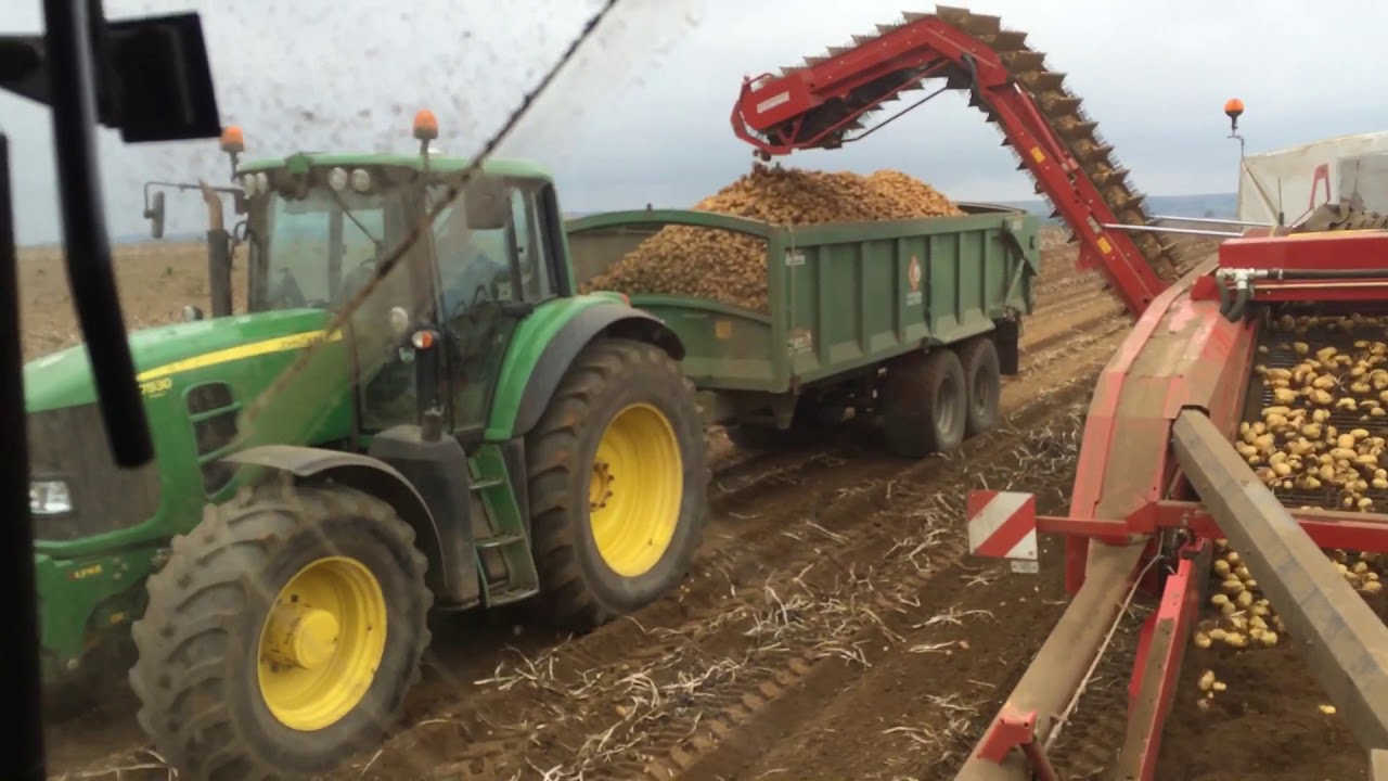 Potato harvest Grimme GT170 2015