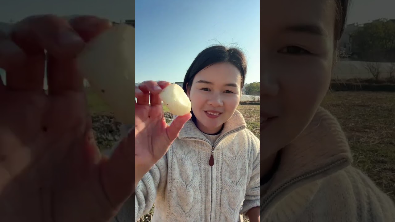 今年家里种的马蹄不知道为啥好多都裂开了 趁今天天气好出来挖点马蹄，今年种的马蹄不是很好，很多都裂开了 