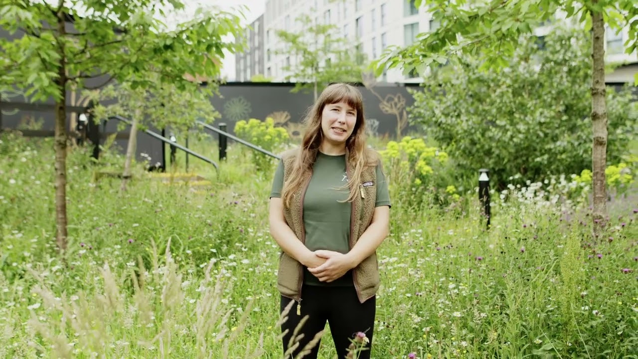 Plant x RHS Landscape