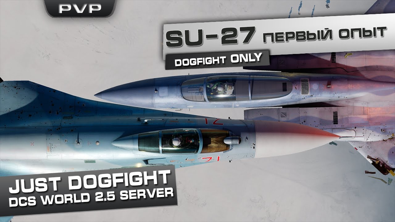 DCS World 2.5 / Su-27/33 / Learning dogfight project #1