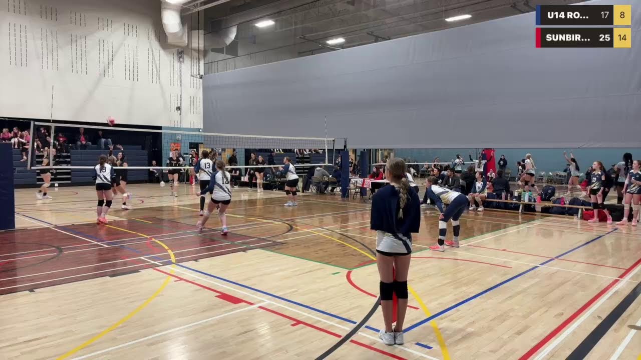 Live powered by Swish Live app
U14 ROYALS VS SUNBIRDS EDMONTON