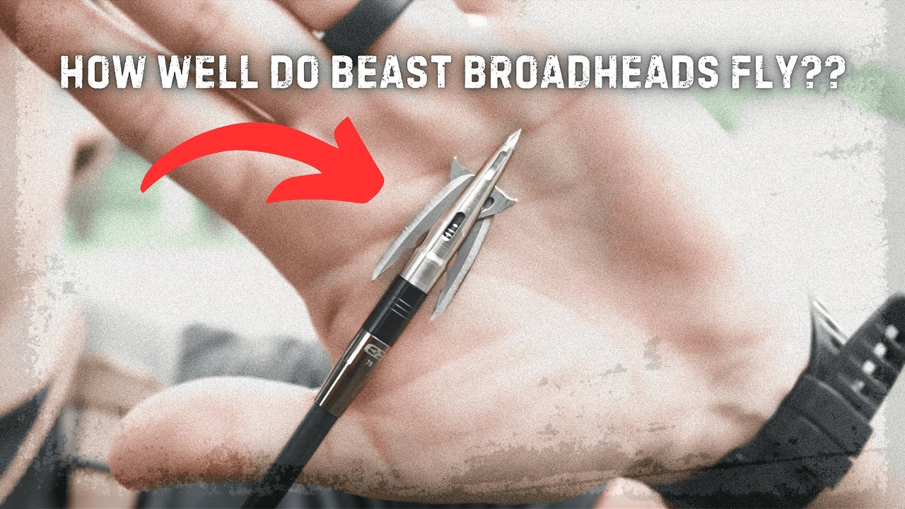 HOW WELL DO BEAST BROADHEADS FLY??
